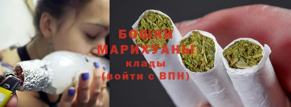 гашиш Богданович