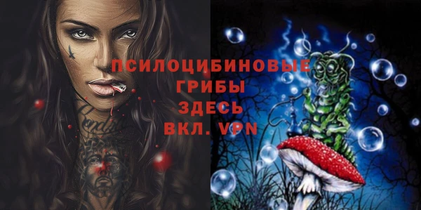 spice Беломорск