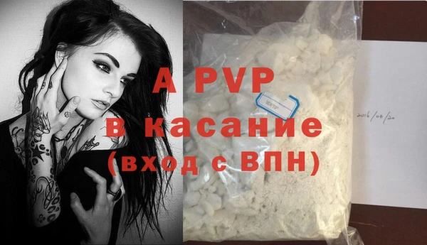 PSILOCYBIN Белоозёрский