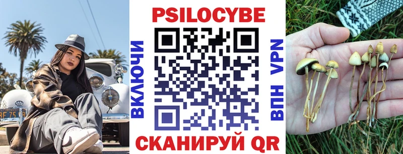 OMG онион Купино Галлюциногенные грибы мицелий
